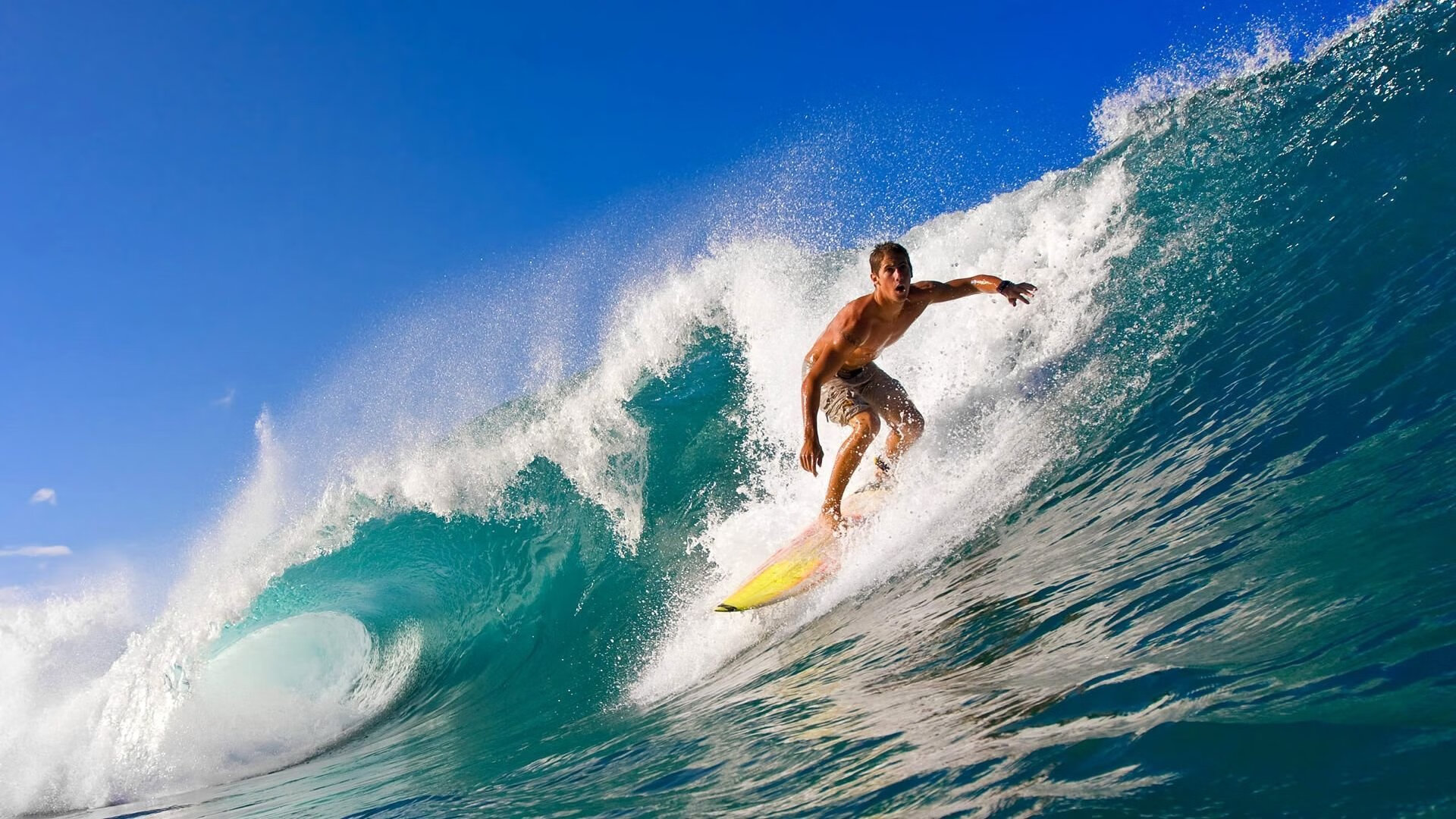 _野外探索与追逐:勇者的荒野旅行_,荒野探险之旅